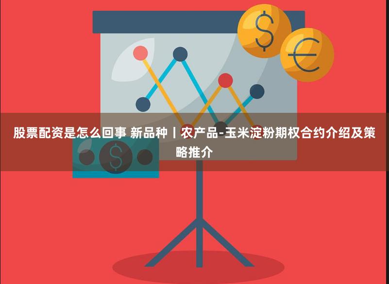 股票配资是怎么回事 新品种丨农产品-玉米淀粉期权合约介绍及策略推介