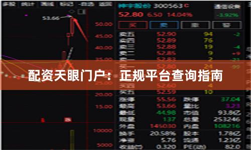 配资天眼门户：正规平台查询指南